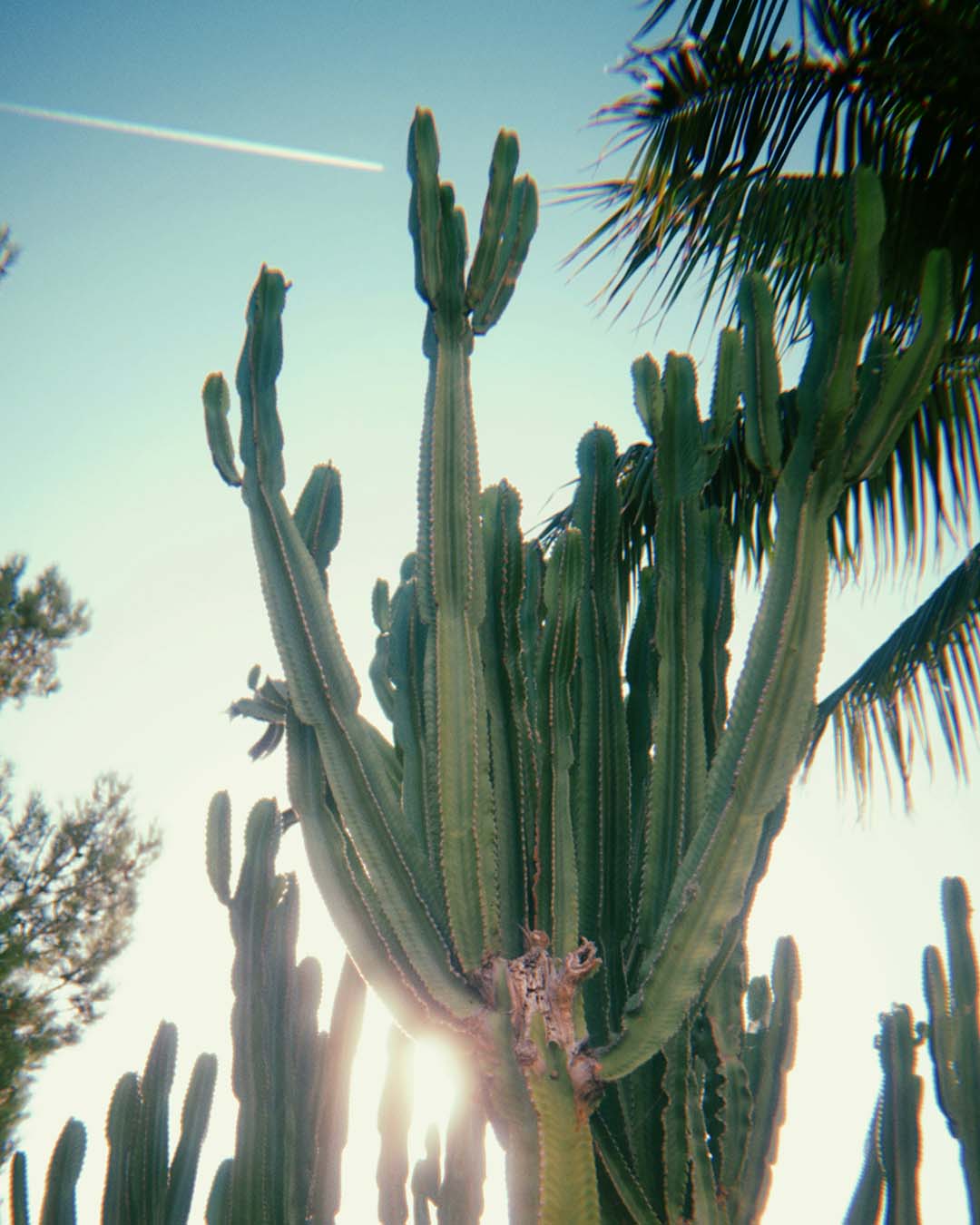 Rolla Lens